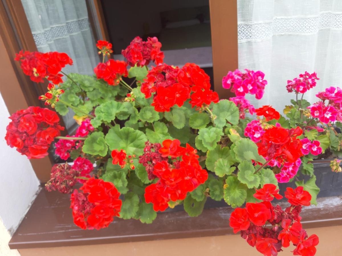 Legenda Anotimpurilor Villa Alma Dış mekan fotoğraf