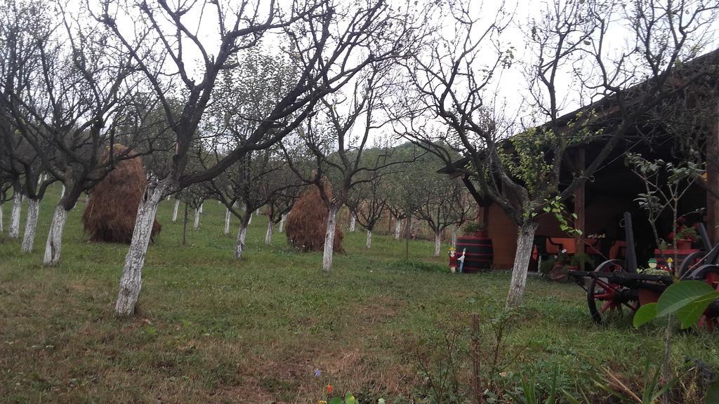 Legenda Anotimpurilor Villa Alma Dış mekan fotoğraf