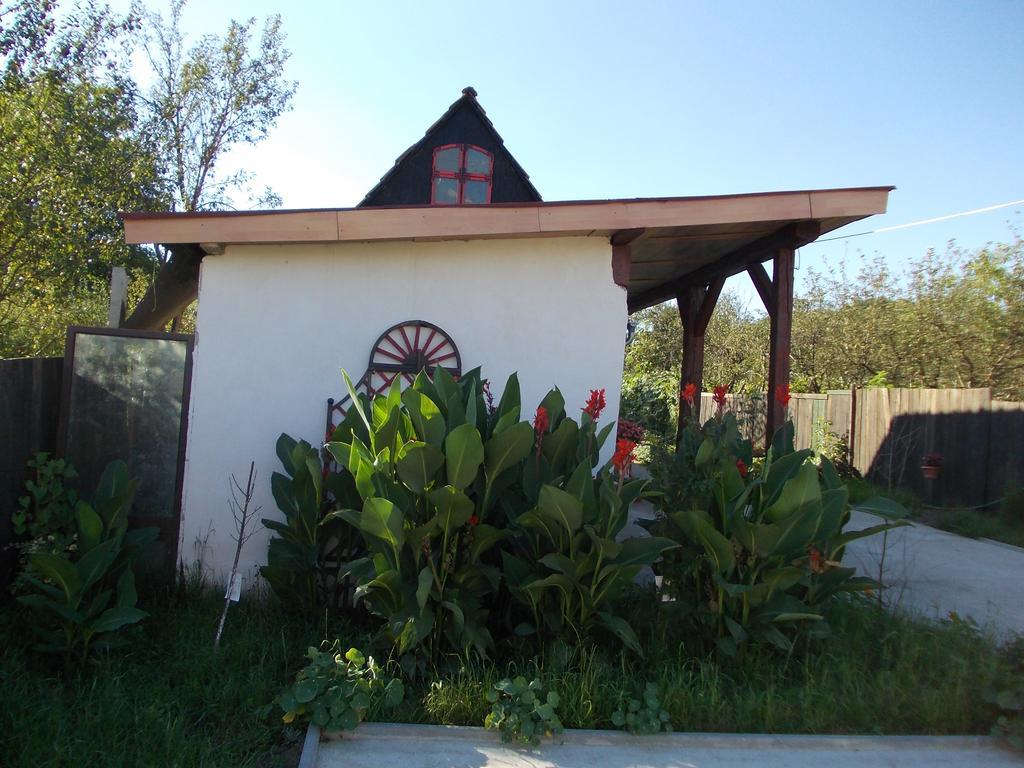 Legenda Anotimpurilor Villa Alma Dış mekan fotoğraf