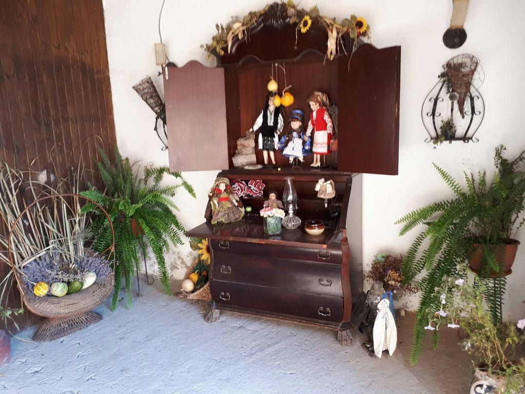 Legenda Anotimpurilor Villa Alma Dış mekan fotoğraf