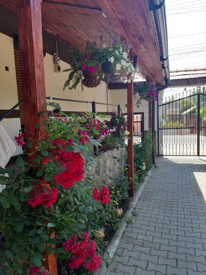 Legenda Anotimpurilor Villa Alma Dış mekan fotoğraf