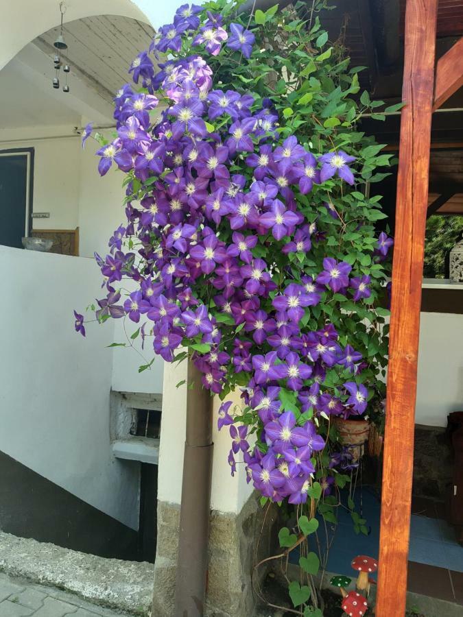 Legenda Anotimpurilor Villa Alma Dış mekan fotoğraf